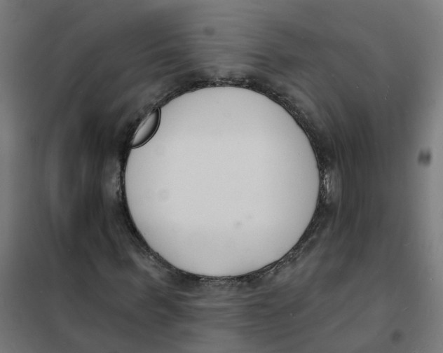 X0000101690963200808071130