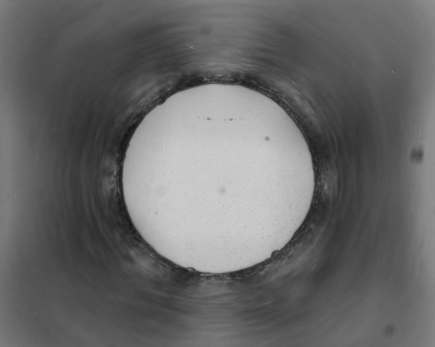 X0000101690964200808071130