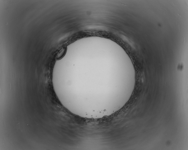 X0000101690965200808071130