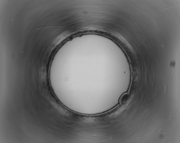 X0000101690969200808071130