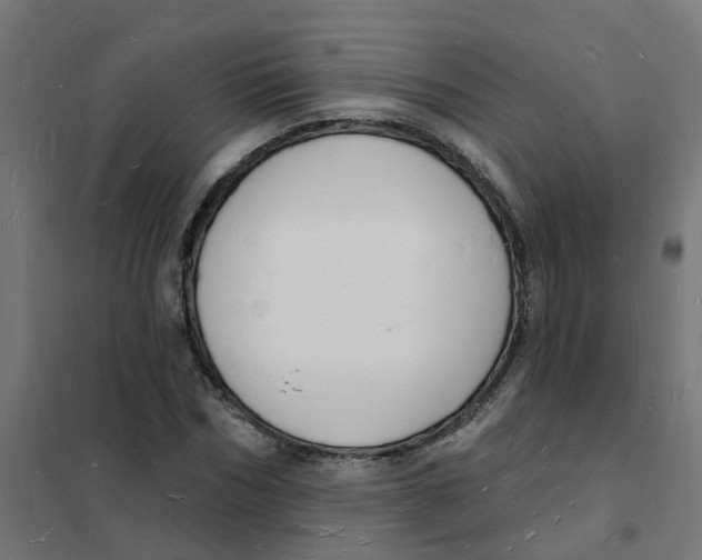 X0000101690970200808071130