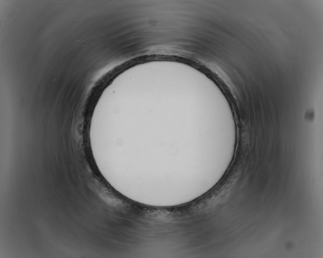 X0000101690971200808071130