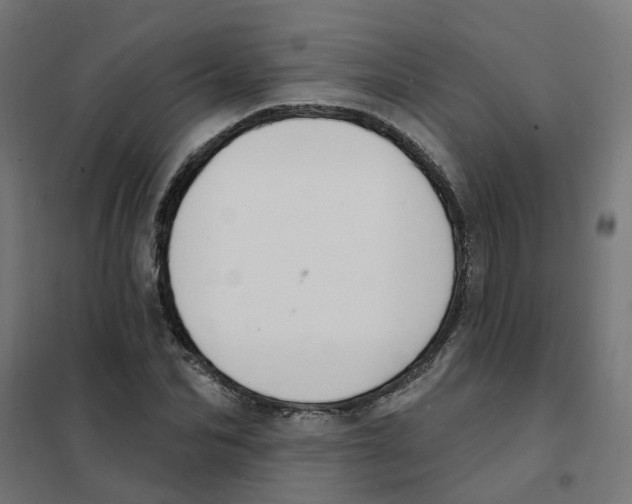 X0000101690974200808071129