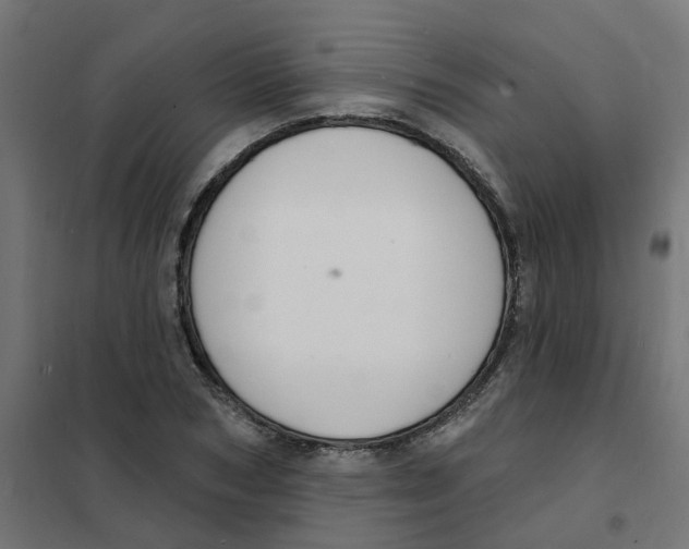 X0000101690978200808071129