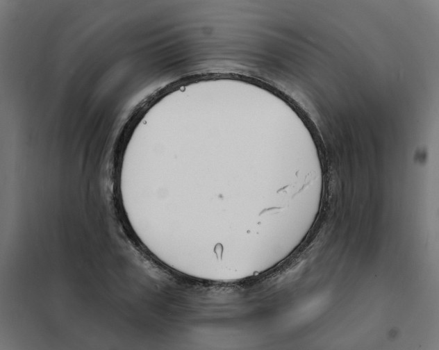 X0000101690979200808071129