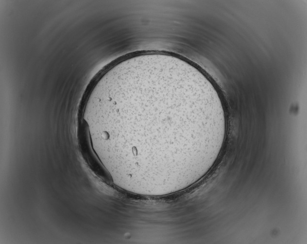 X0000101690980200808071129