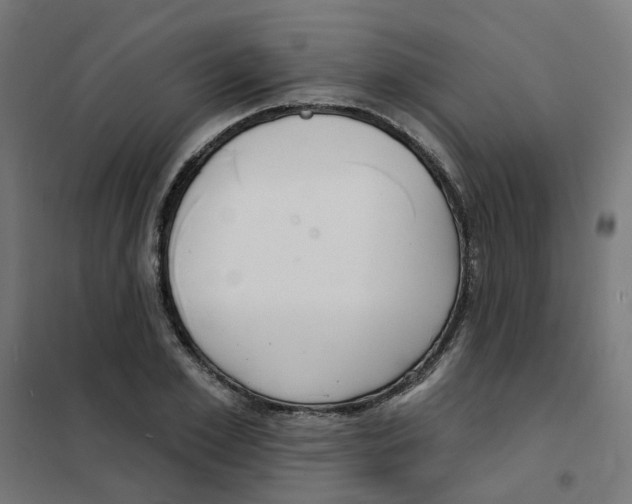 X0000101690981200808071129