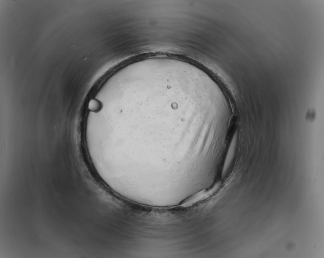 X0000101690983200808071129