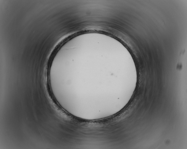 X0000101690984200808071129