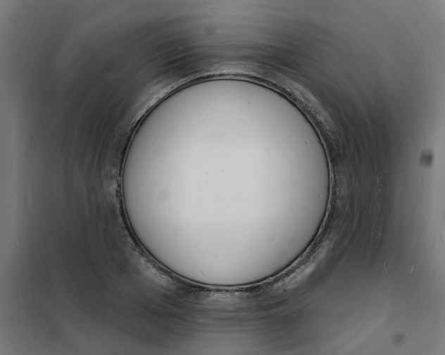 X0000101690985200808071129