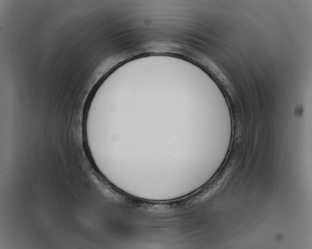 X0000101690986200808071129