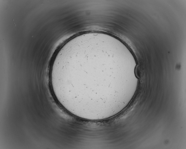 X0000101690987200808071129