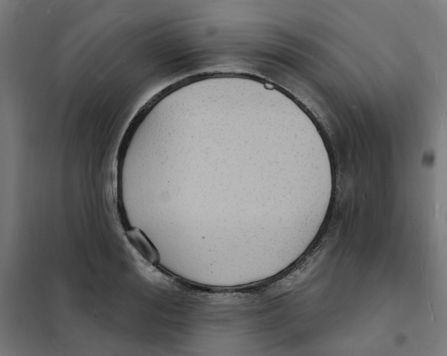 X0000101690988200808071129