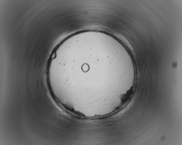 X0000101690989200808071129