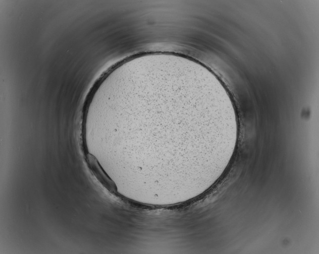 X0000101690992200808071129