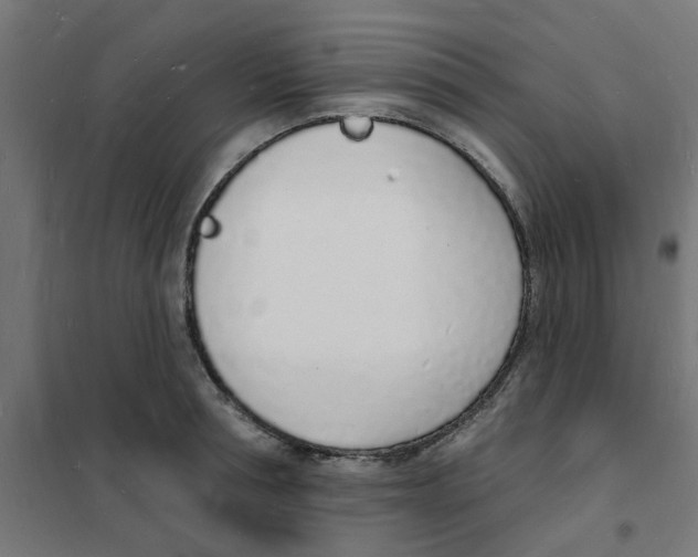 X0000101690994200808071129