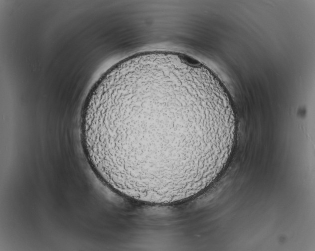 X0000101690998200808071129