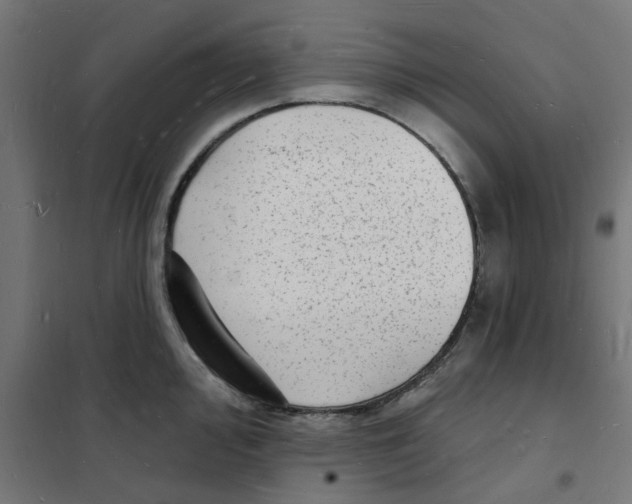 X0000101691000200808071129