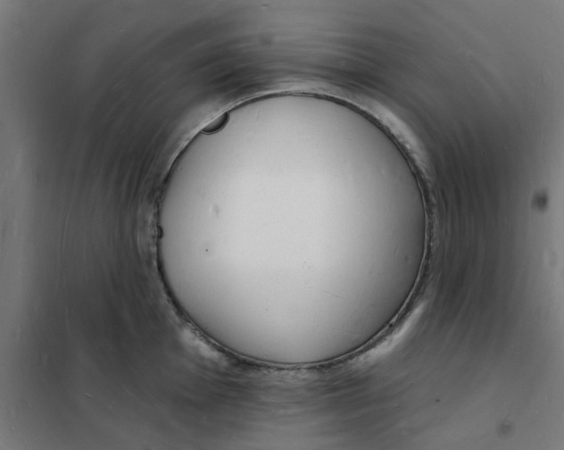 X0000101691001200808071129