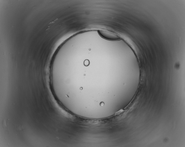 X0000101691003200808071129