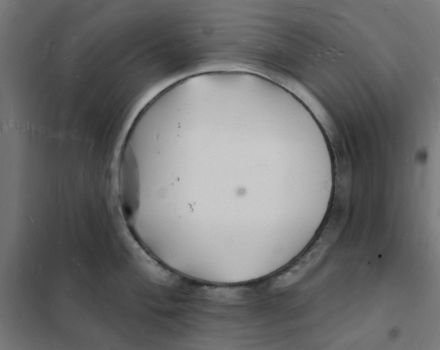 X0000101691004200808071129