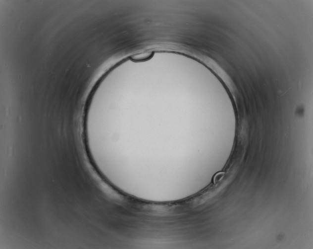 X0000101691005200808071129