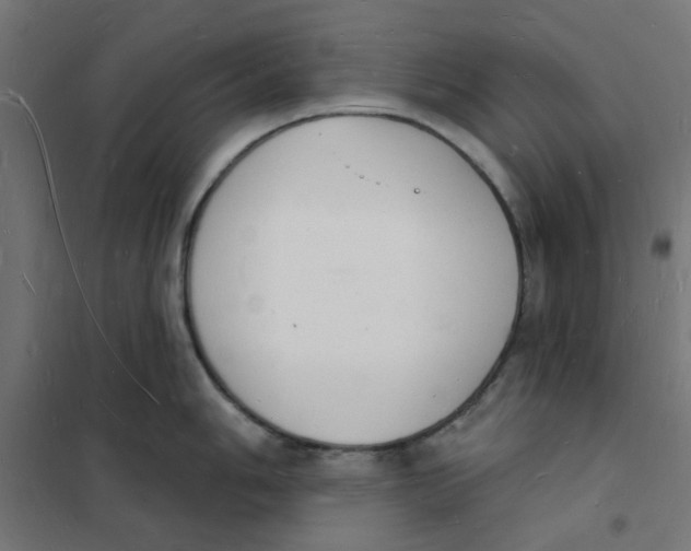 X0000101691006200808071129