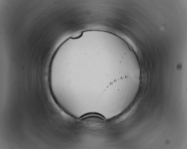 X0000101691007200808071129