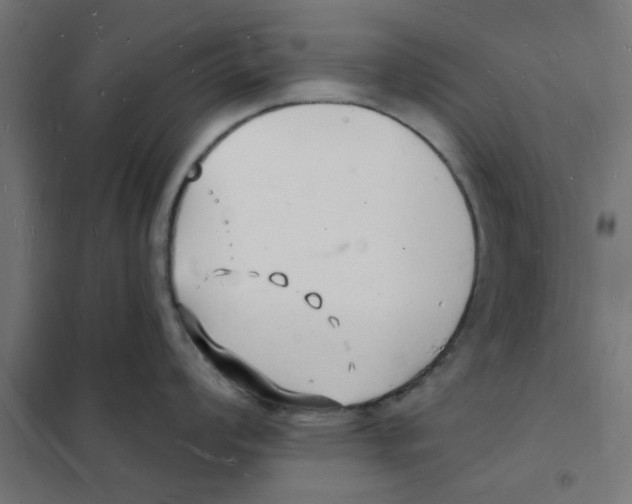 X0000101691008200808071129