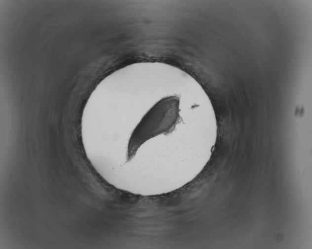 X0000101691009200808071128