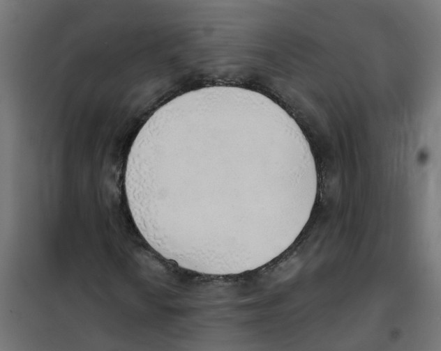 X0000101691010200808071128