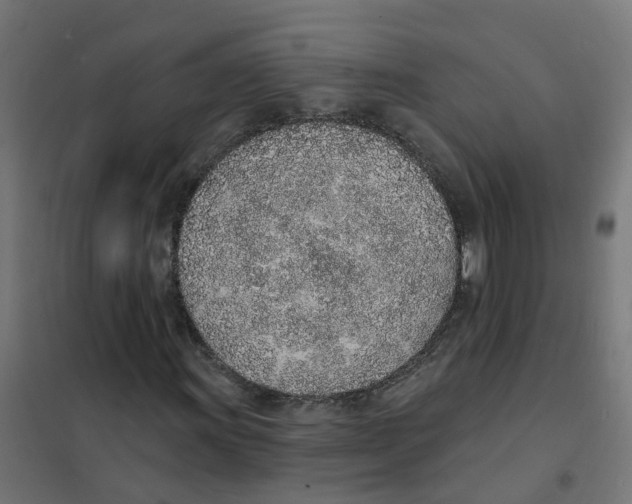 X0000101691011200808071128