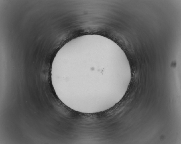 X0000101691012200808071128