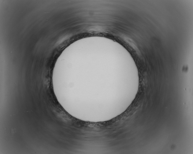 X0000101691015200808071128