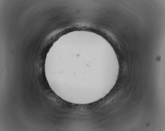 X0000101691016200808071128