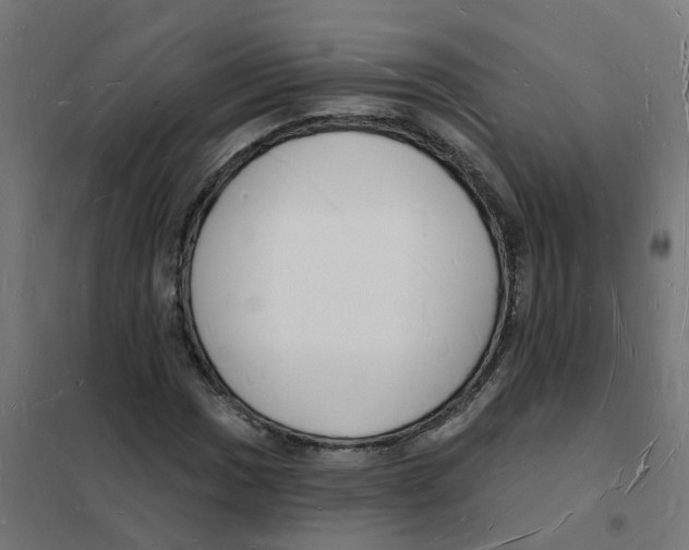 X0000101691017200808071128