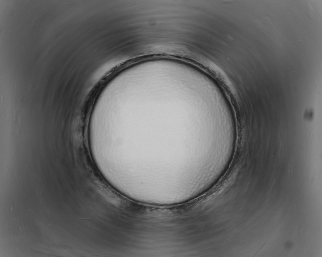 X0000101691019200808071128