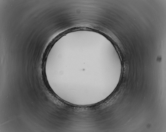 X0000101691020200808071128