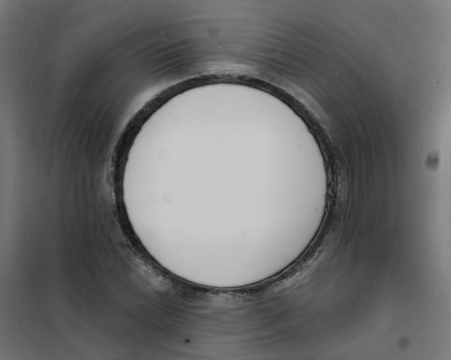 X0000101691022200808071128