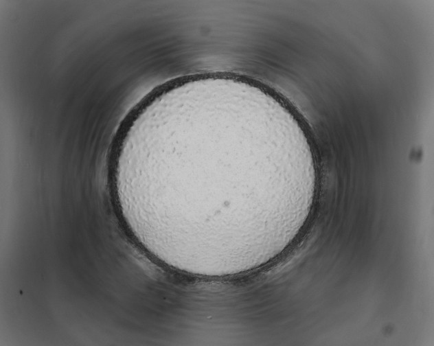 X0000101691023200808071128