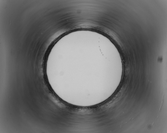 X0000101691026200808071128