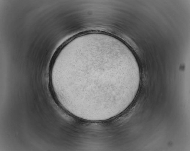 X0000101691028200808071128