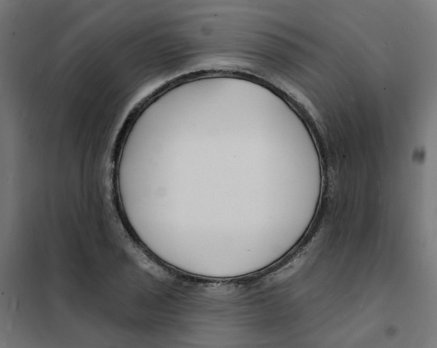 X0000101691029200808071128