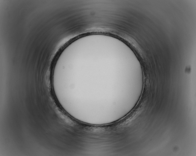 X0000101691030200808071128