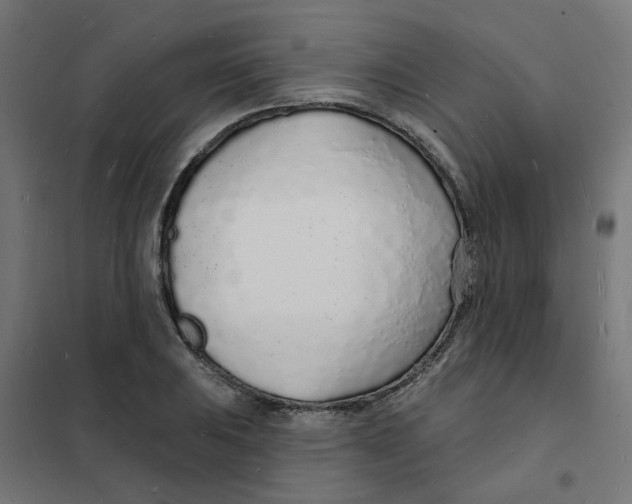 X0000101691031200808071128