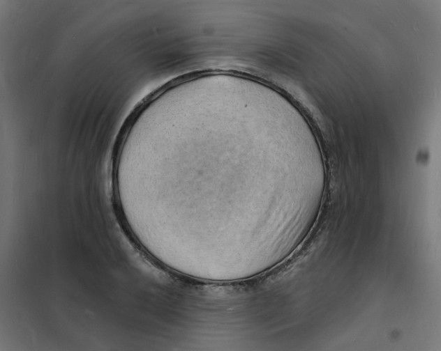 X0000101691032200808071129