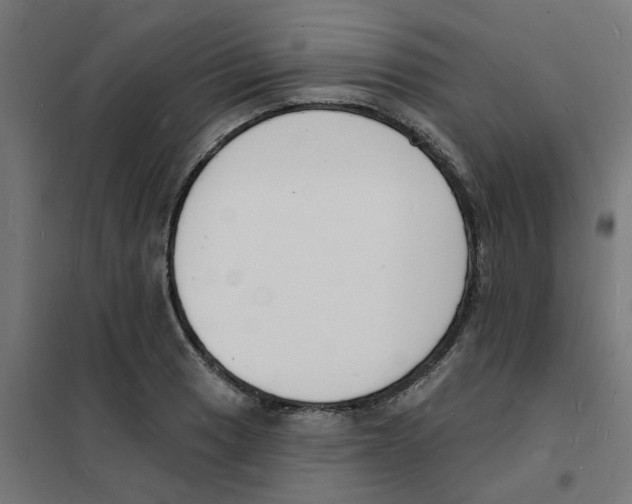 X0000101691033200808071129