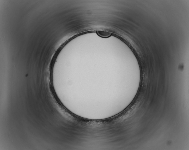 X0000101691034200808071129