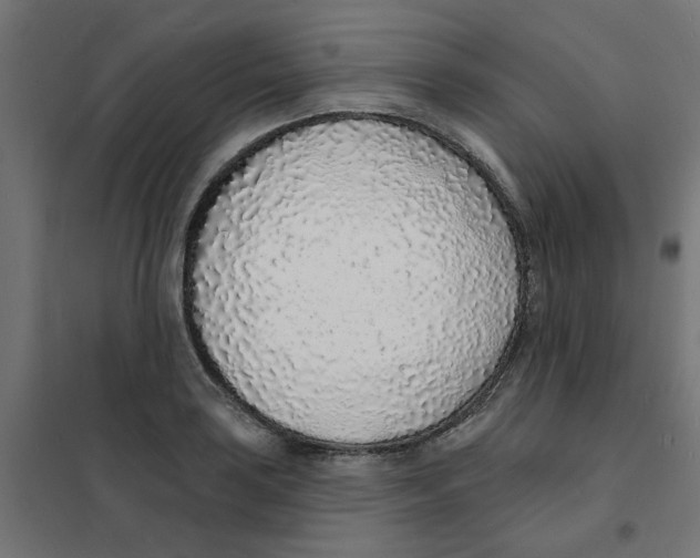 X0000101691035200808071129