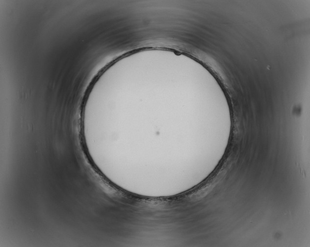 X0000101691040200808071129